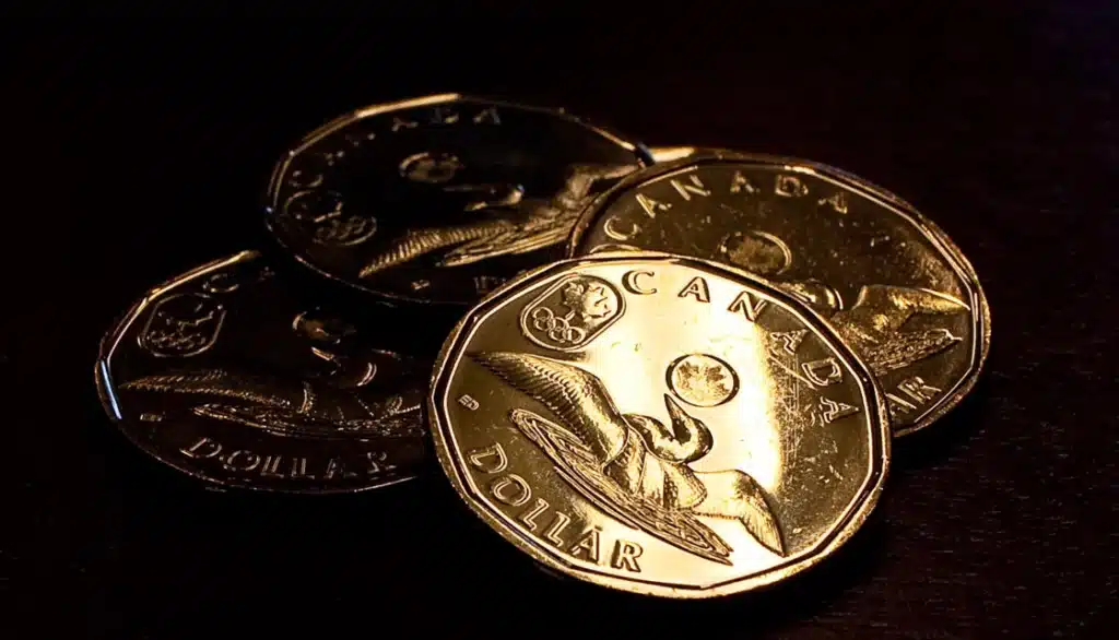 loonie Canadian Dollar Coin Value